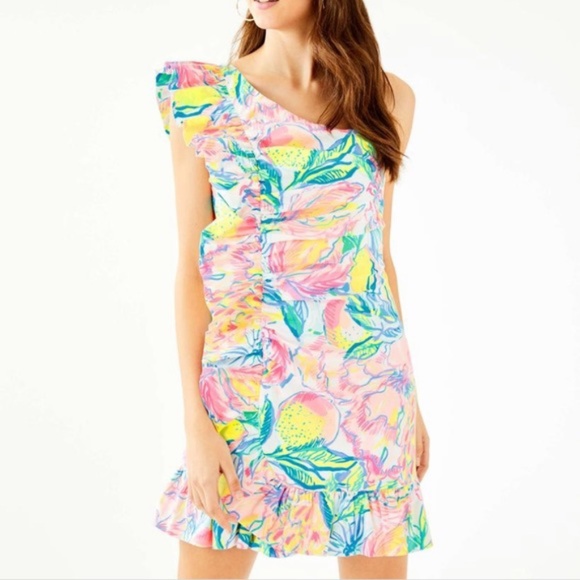 Lilly Pulitzer Dresses & Skirts - ❌❌Lilly Pulitzer Dress❌❌❌❌